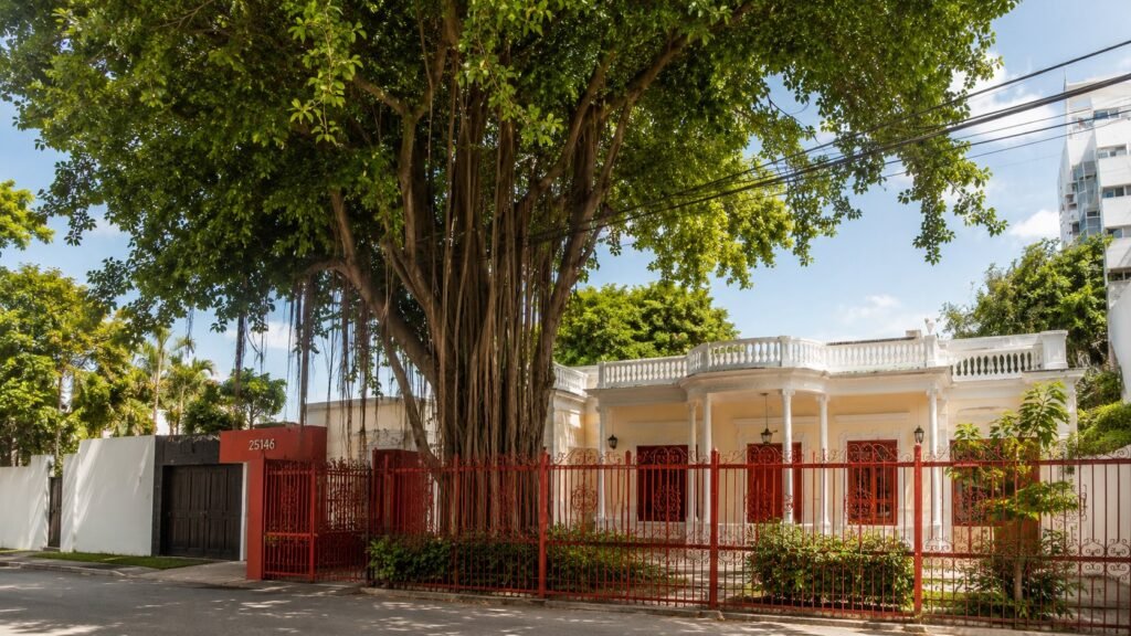 Fachada del hotel y árbol de caucho vistos desde la calle